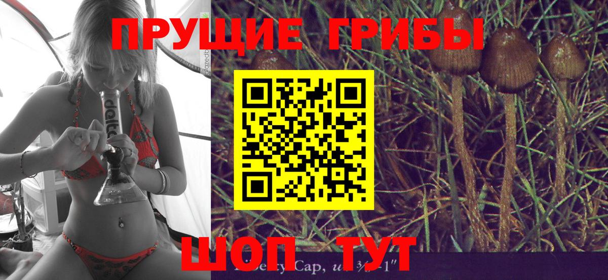 Галлюциногенные грибы мухоморы  Вход с VPN  Усинск  Псилоцибиновые грибы прущие грибы 