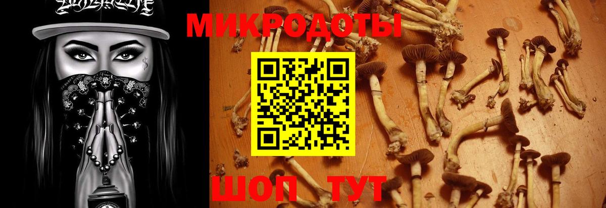 Псилоцибиновые грибы Psilocybe Усинск